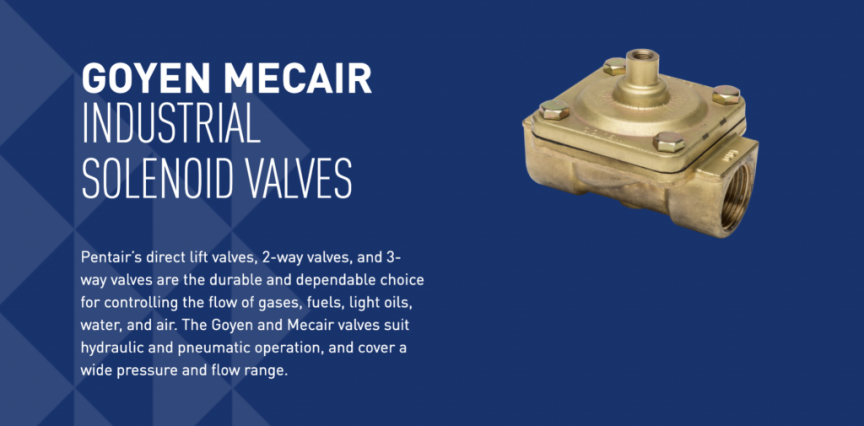 Pentair Goyen Mecair Valves
